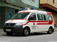 au449.jpg