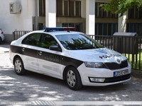 bih310.jpg