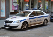 cze475.jpg