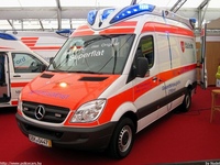 de364.jpg