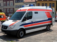 de442.jpg