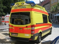 de444.jpg