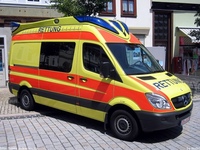 de445.jpg