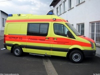 de490.jpg