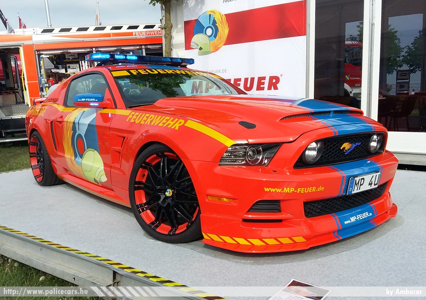 Mustang, fotó: Gabi
