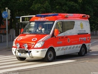 fi115.jpg