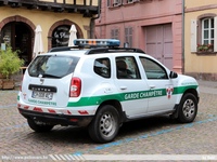 fr286.jpg