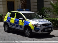 gib008.jpg