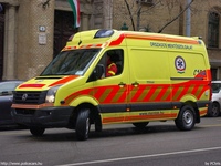 mentok753.jpg