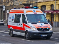 mentok919.jpg