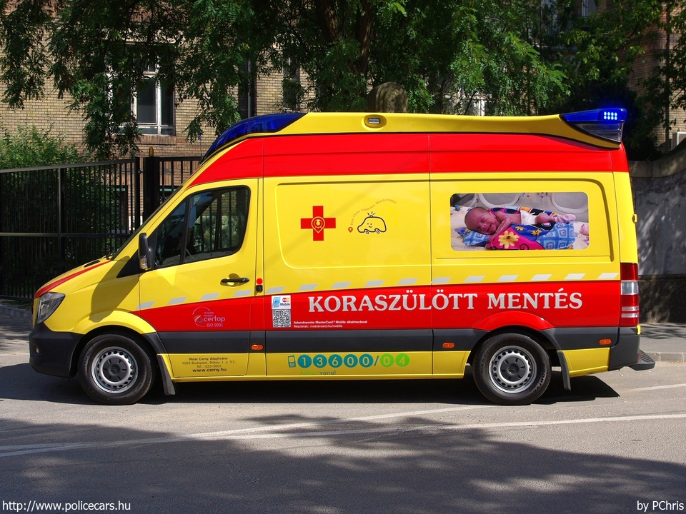 Mercedes Sprinter II facelift, Budapest, Peter Cerny Alapítvány, koraszülöttmentõ, fotó: PChris
Keywords: mentő mentőautó magyar Magyarország ambulance hungarian Hungary PCA-008