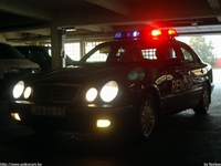 mercedes026.jpg
