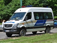 mercedes216.jpg