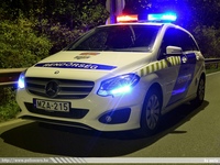 mercedes242.jpg