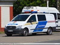 mercedes244.jpg
