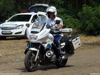 motor205.jpg