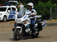motor208.jpg