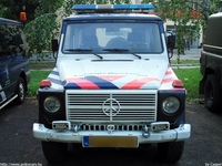 nl035.jpg