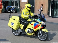 nl046.jpg