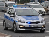pl286.jpg