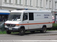 pl304.jpg