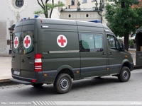 pl310.jpg