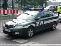 pl313.jpg