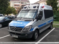 pl372.jpg