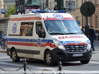 pl431.jpg
