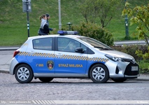 pl434.jpg