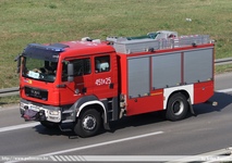 pl491.jpg