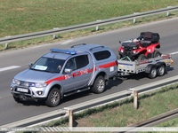 pl494.jpg