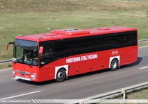 pl499.jpg
