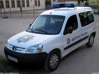 sk195.jpg