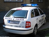 sk199.jpg