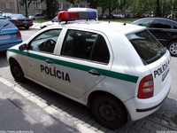 sk236.jpg