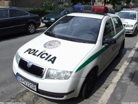 sk238.jpg
