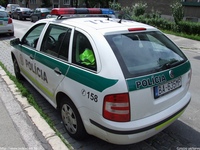 sk239.jpg