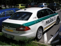 sk261.jpg