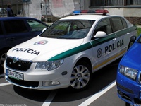 sk263.jpg