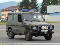ska131.jpg