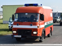 ska175.jpg