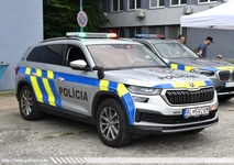 ska481.jpg