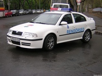 skoda021.jpg