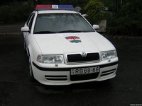 skoda025.jpg