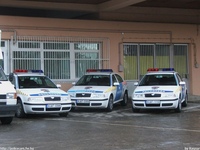 skoda164.jpg