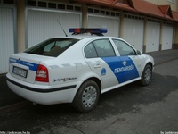 skoda183.jpg