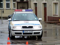 skoda196.jpg