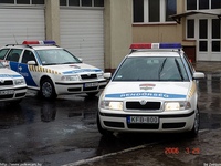 skoda198.jpg