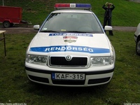 skoda213.jpg